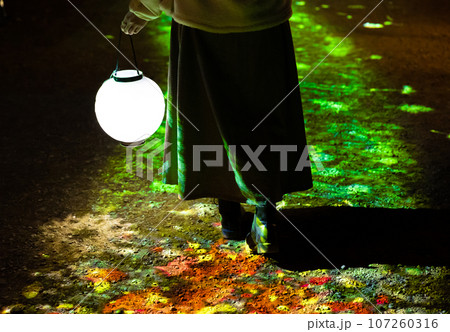 秋の公園でランプを持っている女性の後ろ姿 107260316