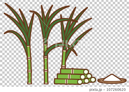 サトウキビと粉砂糖のシンプルなイメージ 107260620