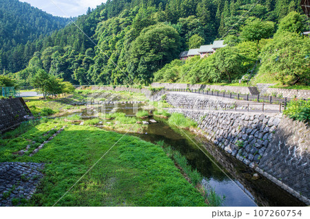 吉田川　水辺再生　吉田元気村付近　真夏の風景　秩父市上吉田 107260754