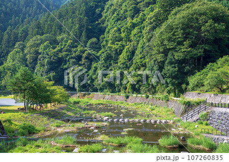 吉田川 水辺再生 吉田元気村付近 真夏の風景 秩父市上吉田 吉田川 水辺再生 吉田元気村付近 真夏の風景 秩父市上吉田 107260835