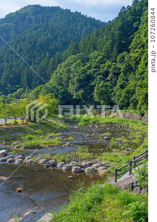 吉田川　水辺再生　吉田元気村付近　真夏の風景　秩父市上吉田 107260844