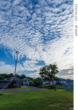 空いっぱいに広がったいわし雲 公園上空の雄大な空 奈良市の住宅街にて② 空いっぱいに広がったいわし雲 公園上空の雄大な空 奈良市の住宅街にて② 107261022