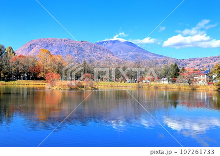 矢ヶ崎公園の紅葉と浅間山 107261733