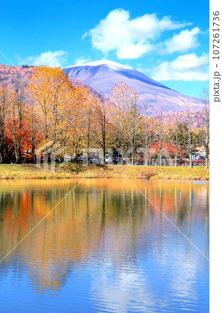 矢ヶ崎公園の紅葉と浅間山 矢ヶ崎公園の紅葉と浅間山 107261736