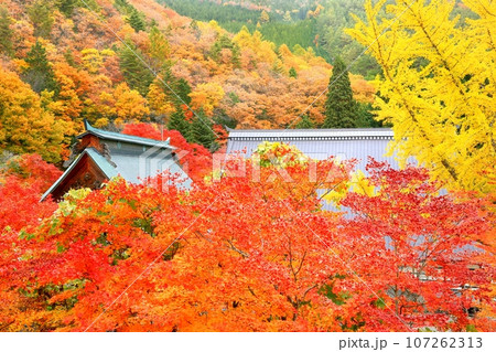 紅葉の霊松寺 紅葉の霊松寺 107262313