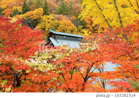 紅葉の霊松寺 107262314