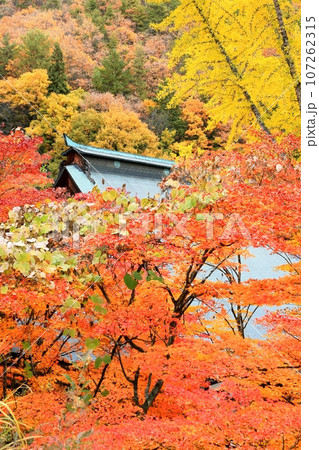 紅葉の霊松寺 107262315