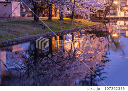 山形県米沢市 春のライトアップされた米沢城址のお堀と満開の桜 山形県米沢市 春のライトアップされた米沢城址のお堀と満開の桜 107262386