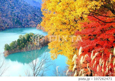 大町ダム湖の紅葉 大町ダム湖の紅葉 107262471