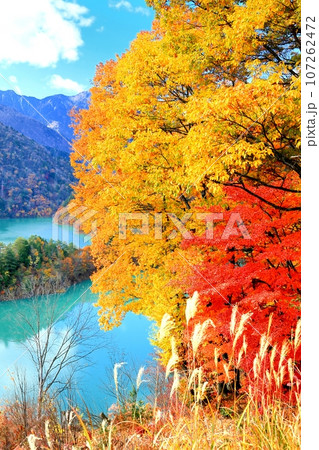 大町ダム湖の紅葉 大町ダム湖の紅葉 107262472