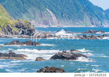 黄金道路展望台　望洋台 107262616