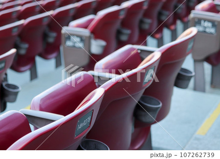 マツダスタジアムの内野席 マツダスタジアムの内野席 107262739