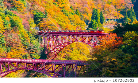 秋の黒部峡谷:新山彦橋を走るトロッコ電車 秋の黒部峡谷:新山彦橋を走るトロッコ電車 107262902