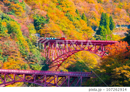 秋の黒部峡谷:新山彦橋を走るトロッコ電車 秋の黒部峡谷:新山彦橋を走るトロッコ電車 107262914
