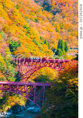 秋の黒部峡谷：新山彦橋を走るトロッコ電車 107262916