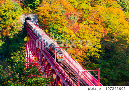 秋の黒部峡谷：新山彦橋を走るトロッコ電車 107263005