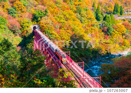 秋の黒部峡谷:新山彦橋を走るトロッコ電車 秋の黒部峡谷:新山彦橋を走るトロッコ電車 107263007