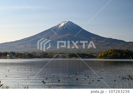 早朝の河口湖に映る富士山 早朝の河口湖に映る富士山 107263256
