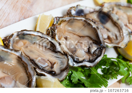 Opened oysters with lemon and herbs Opened oysters with lemon and herbs 107263716