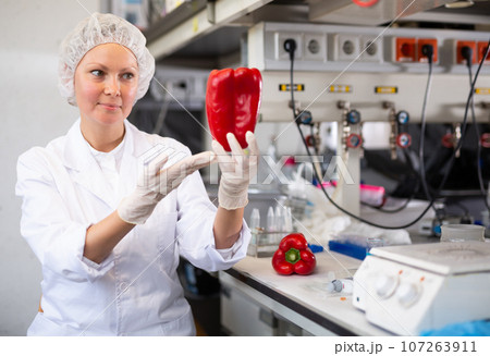 Woman lab technician analyzing pepper in laboratory 107263911