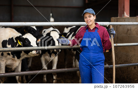 Young female farmer posing while feeding cows at farm Young female farmer posing while feeding cows at farm 107263956