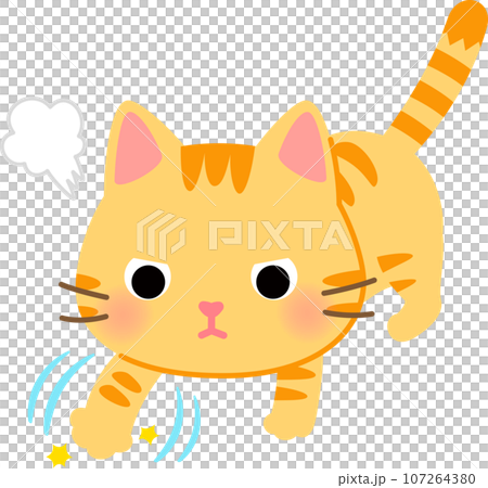 一隻貓小心翼翼地在地上挖 107264380