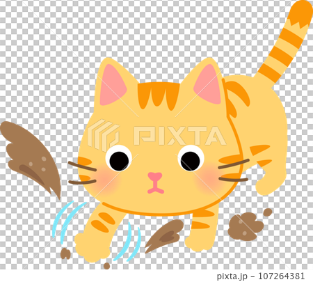 虎斑貓用前腿挖沙子 107264381