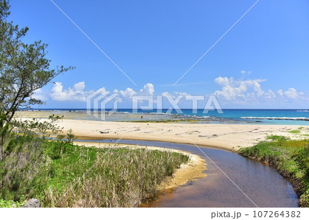 海辺の風景 107264382