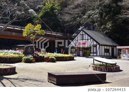 横須賀くりはま花の国　コスモス館と花壇 107264415