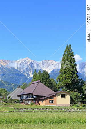 初秋の白馬　大出の里と北アルプス 107264426