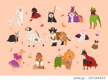 Halloween set with dogs in cute Halloween costumes. Trick or treat. Happy Halloween vector illustration Halloween set with dogs in cute Halloween costumes. Trick or treat. Happy Halloween vector illustration 107264643