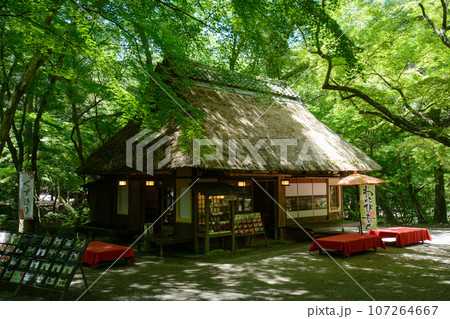 奈良公園内の茶屋・茅葺屋根のお店 奈良公園内の茶屋・茅葺屋根のお店 107264667