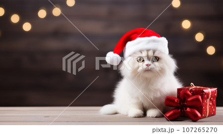 Cute cat wearing Santa Claus costume in - Stock Cute cat wearing Santa Claus costume in - Stock