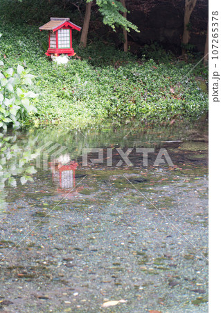 湧玉池に映える灯篭 湧玉池に映える灯篭 107265378