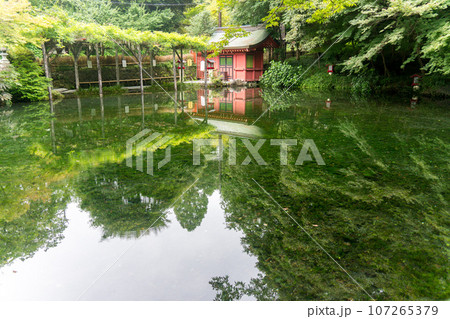 湧玉池の水屋神社 湧玉池の水屋神社 107265379
