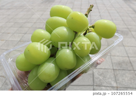 シャインマスカット シャインマスカット 107265554