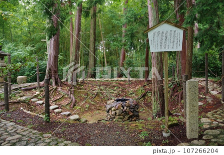 十輪寺 107266204