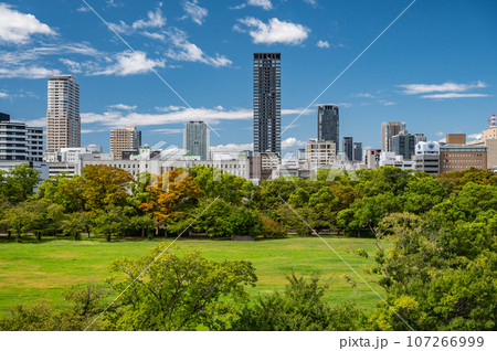大阪城西の丸庭園と大阪市街風景 107266999