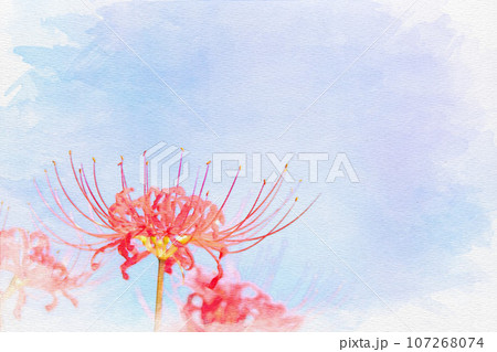 [愛知県]半田市矢勝川堤の彼岸花 107268074