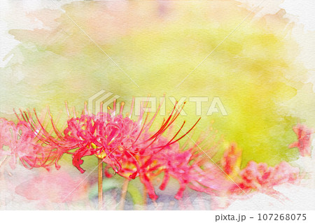 [愛知県]半田市矢勝川堤の彼岸花 107268075