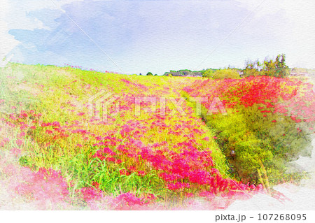 [愛知県]半田市矢勝川堤の彼岸花 107268095