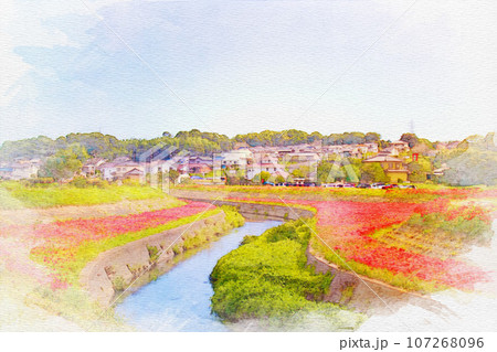 [愛知県]半田市矢勝川堤の彼岸花 107268096