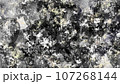 Watercolor Texture Basic 黒 107268144