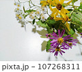 秋の庭に咲く小菊の花束 107268311