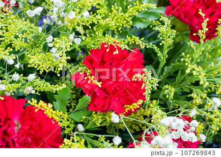flower bouquet of red carnation with green leaves background 107269843