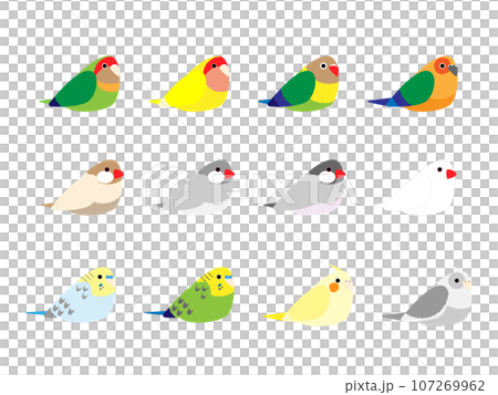 小鳥のイラストセット 107269962