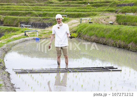 田植えをする若い男性 107271212