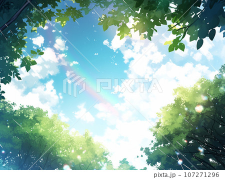 森の中の透明な背景 森の中の透明な背景 107271296