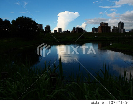 川口市荒川運動公園ふな池の晴れた日の夕方の風景 川口市荒川運動公園ふな池の晴れた日の夕方の風景 107271450
