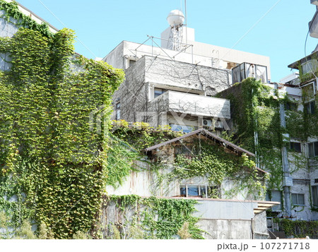 ツタに覆われた建物 107271718